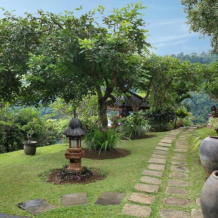 Villa Patria ロヴィーナ エクステリア 写真