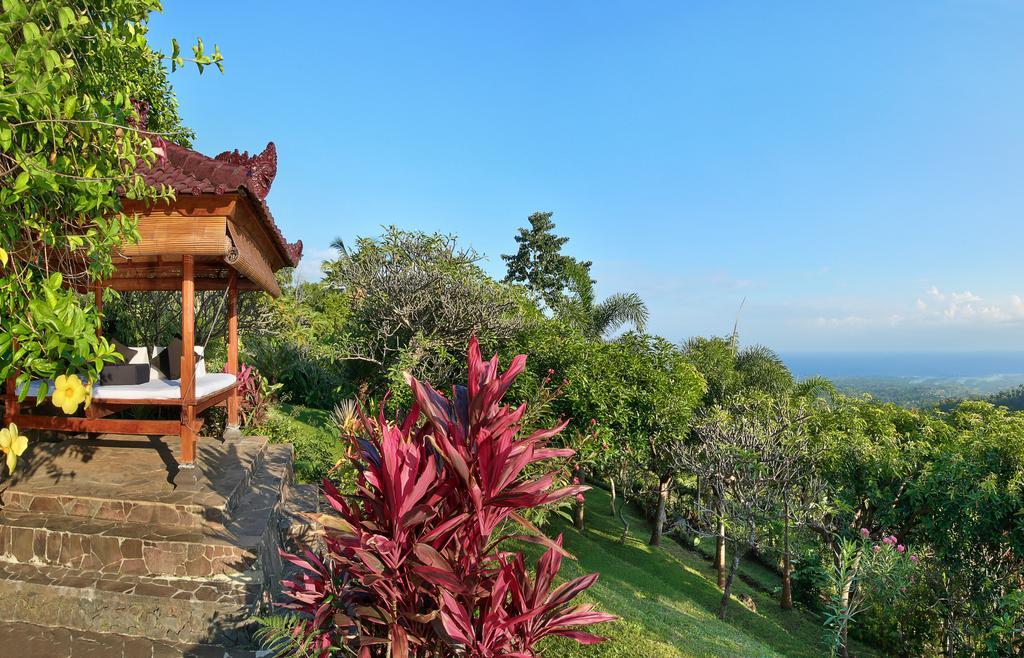 Villa Patria ロヴィーナ エクステリア 写真